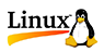Linux Web Technology India | Digital Marketing Agency in India